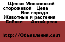 Щенки Московской сторожевой › Цена ­ 35 000 - Все города Животные и растения » Собаки   . Алтай респ.